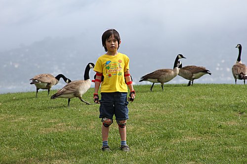 IMG_6154