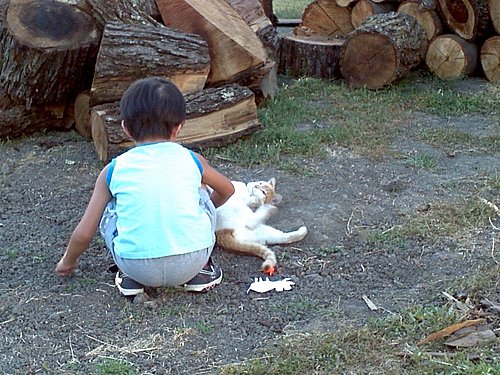 2012-08-01_19-31-34_702