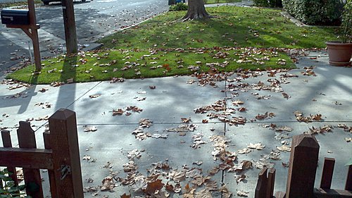 2012-11-27_11-30-52_46