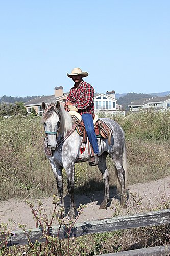 IMG_0518