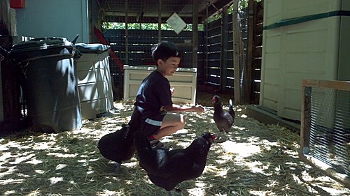 2012-06-24_12-59-28_648