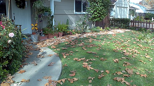 2012-11-27_11-30-41_226