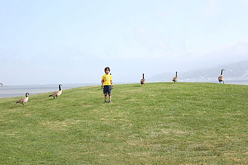 IMG_6152