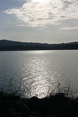 IMG_5875