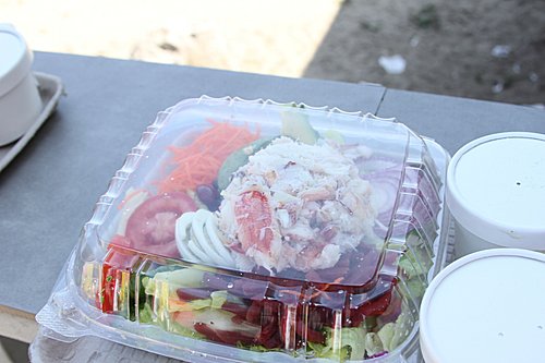 IMG_0491
